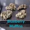 BLUEBERRY MUFFINS 28g INDICA 27%THC INDOOR (Smaller NUGS) 🔥🔥🔥