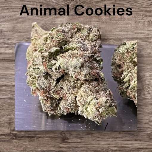 ANIMAL COOKIES28g OZ HYBRID 🔥🔥 26%THC