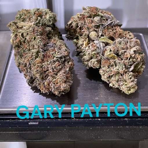 Gary Payton🔥🔥28g OZ ON SALE Hybrid SALE !! NEW BATCH