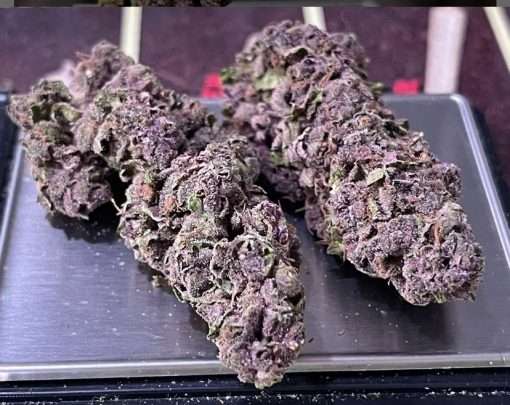 PURPLE HAZE 7GRAMS ON SALE $50SATIVA 🔥🔥