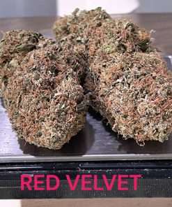 RED VELVET 3.5g HYBRID 28%THC INDOOR 🔥🔥