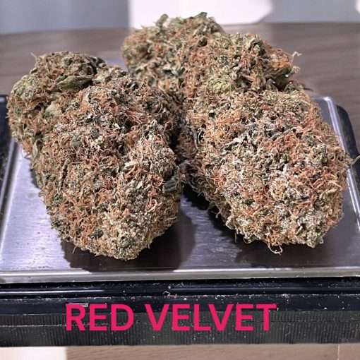 RED VELVET 3.5g HYBRID 28%THC INDOOR 🔥🔥