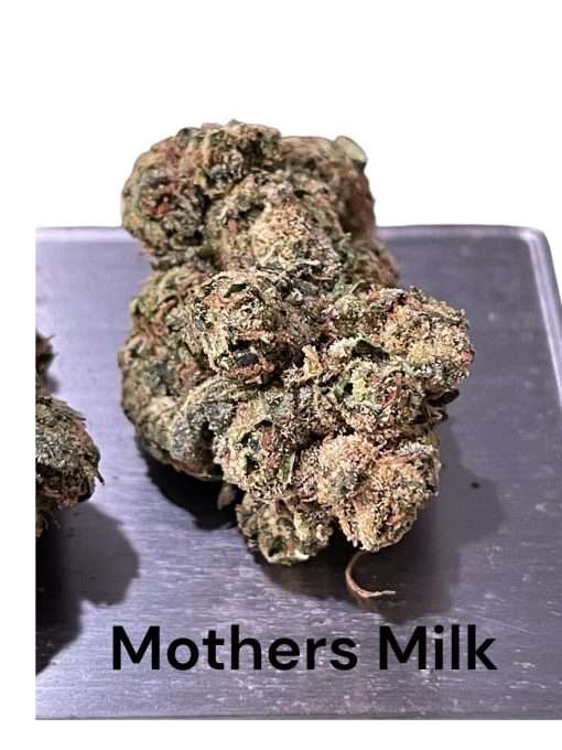 MOTHERS MILK 28g OZ FOR SALE SATIVA $120