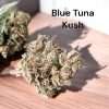 BLUE TUNA KUSH 28g OZ ON SALE 26%THC INDICA smaller Nugse