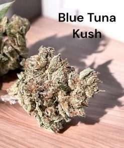 BLUE TUNA KUSH 28g OZ ON SALE 26%THC INDICA smaller Nugse