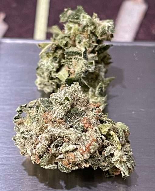 BLUE TUNA KUSH 28g OZ ON SALE 26%THC INDICA smaller Nugse