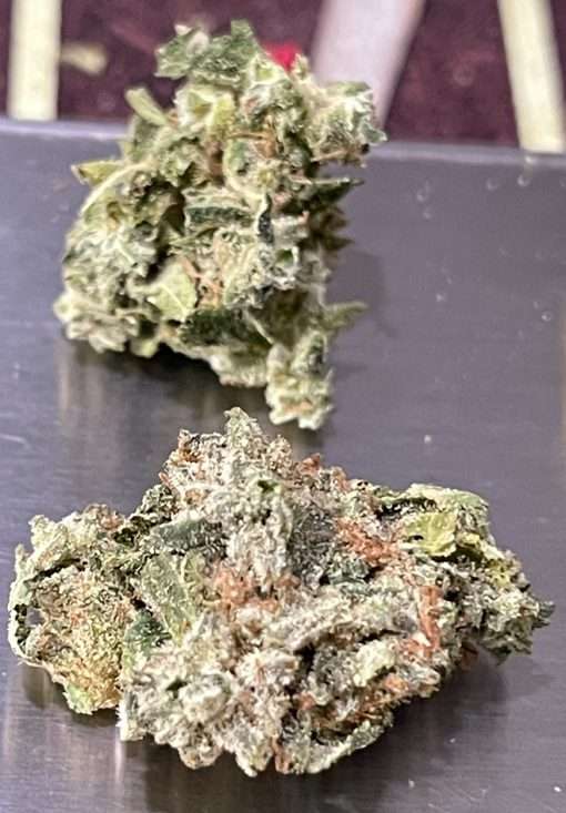 BLUE TUNA KUSH 28g OZ ON SALE 26%THC INDICA smaller Nugse