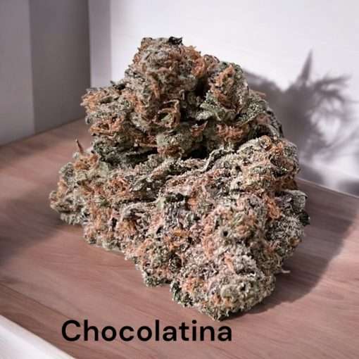 CHOCOLATINA 3.5g SATIVA 28% THC 🔥🔥 INDOOR