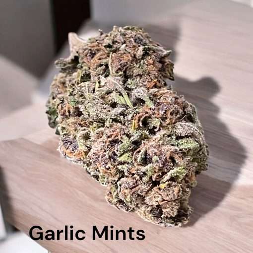 GARLIC MINTS 28g OZ INDICA ON SALE 24%THC 🔥🔥