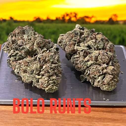 BOLO RUNTZ 28g OZ ON SALE INDOOR INDICA 27%THC