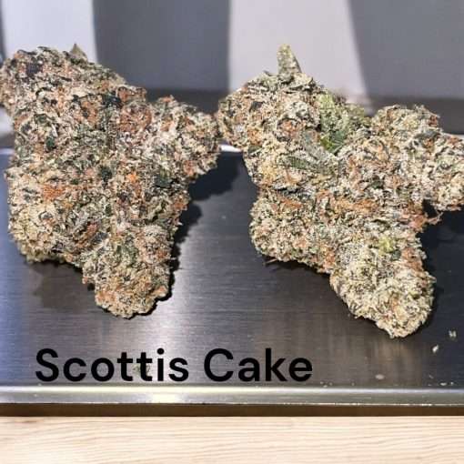 SCOTTIS CAKE 3.5g HYBRID  36%THC EXOTICS SMALL BATCH 🔥🔥