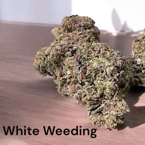 WHITE WEEDING 28g HYBRID 26%THC 🔥🔥