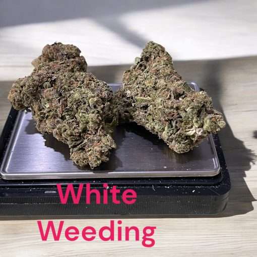 WHITE WEEDING 28g HYBRID 26%THC 🔥🔥