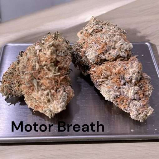 MOTOR BREATH 3.5g INDICA INDOOR 27%THC