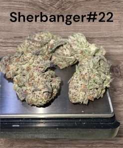 SHERBANGER#22 INDOOR 27%THC 3.5g  HYBRID🔥🔥