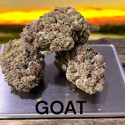 GOAT 28g OZ ON SALE 26%THC HYBRID