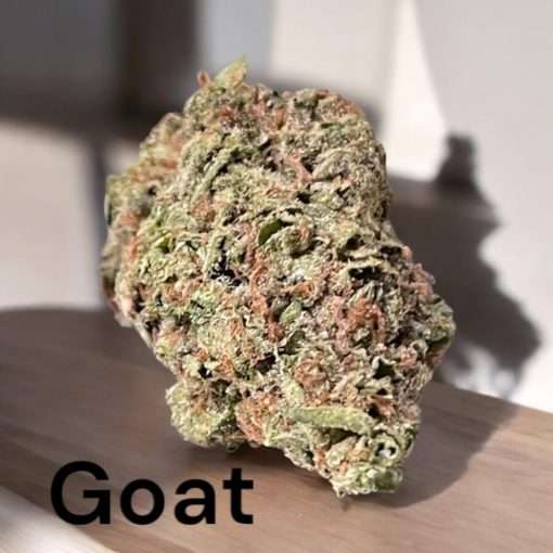 GOAT 28g OZ ON SALE 26%THC HYBRID