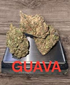 GUAVA28gOZ SATIVA ON SALE 🔥🔥🔥 25%THC