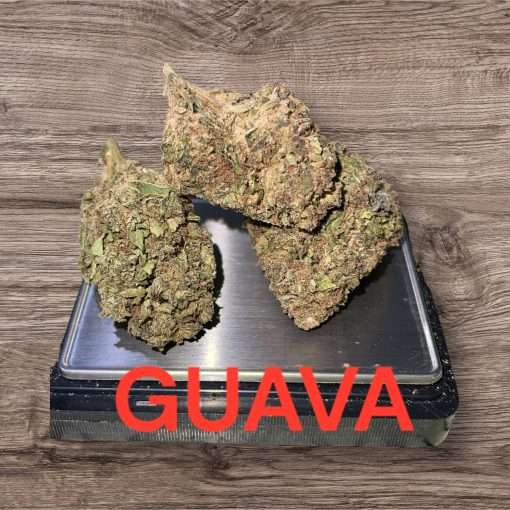 GUAVA28gOZ SATIVA ON SALE 🔥🔥🔥 25%THC