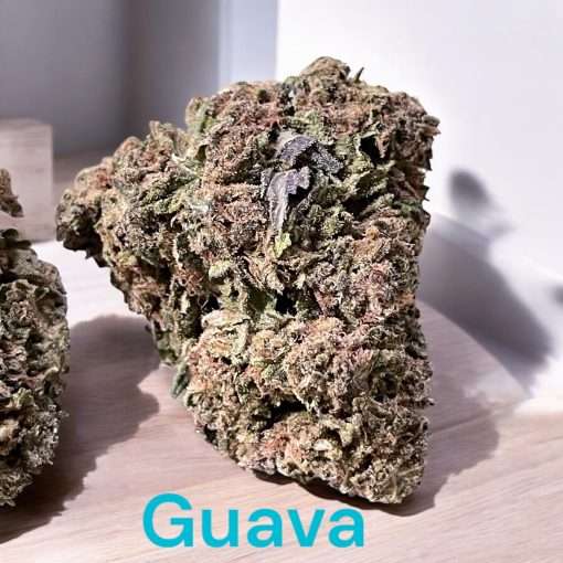 GUAVA28gOZ SATIVA ON SALE 🔥🔥🔥 25%THC