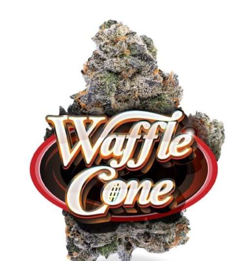 WAFFLE CONE 3.5g (jungle boys) HYBRID 🔥🔥