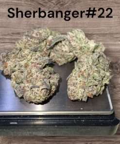 SHERBANGER #22 OZ ON SALE (HYBRID) 27%THC 🔥🔥🔥🔥INDOOR