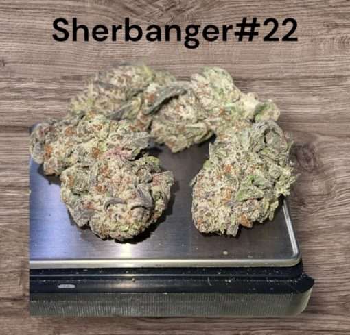 SHERBANGER #22 OZ ON SALE (HYBRID) 27%THC 🔥🔥🔥🔥INDOOR