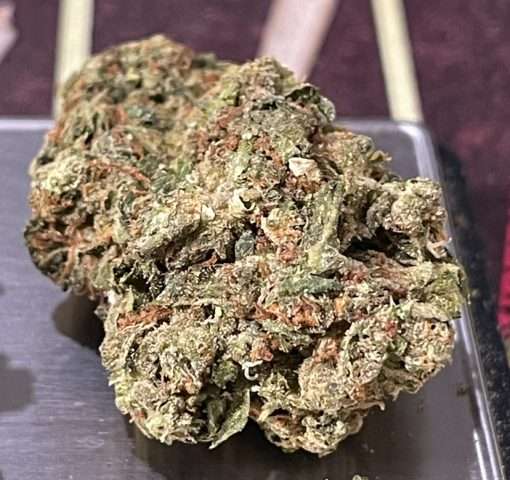 BACIO GELATO 28g HYBRID OZ 🔥🔥 ON SALE