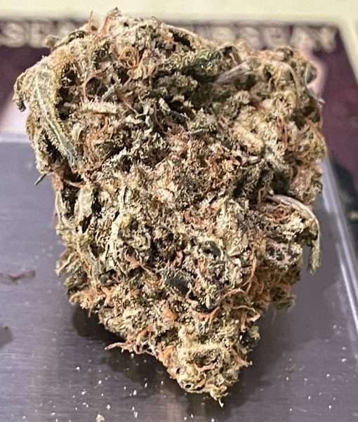 ITALIAN BISCOTTI 3.5g INDICA 28%THC INDOOR ON SALE 🔥🔥