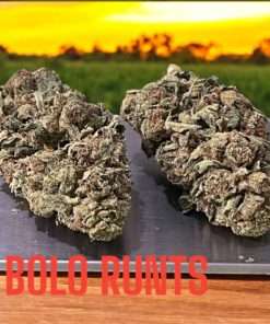 BOLO RUNTZ 3.5g INDICA INDOOR 27%THC