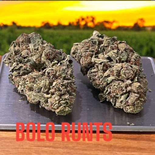 BOLO RUNTZ 3.5g INDICA INDOOR 27%THC