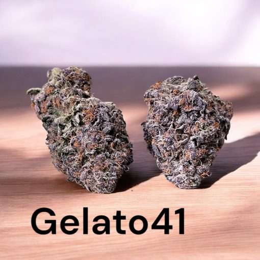 GELATO41 HYBRID 28g OZ ON SALE 26%THC 🔥🔥🔥