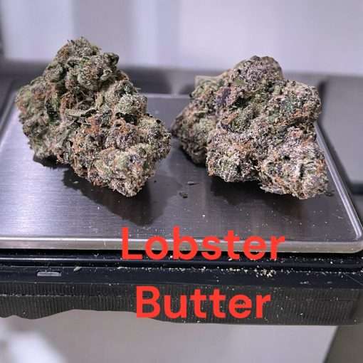 LOBSTER BUTTER 28g OZ EXOTICS oN SALE 37%THC HYBRID 🔥🔥🔥LIMITED BATCH