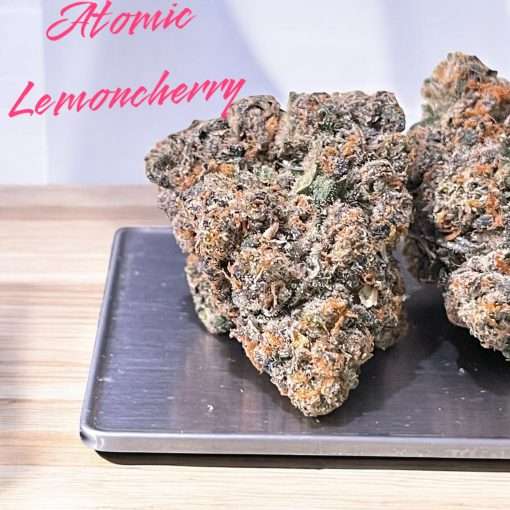 ATOMIC LEMON CHERRY 3.5g HYBRID 37%THC 🔥🔥