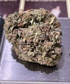 GREAT WHITE SHARK 28g OZ SATIVA ON SALE 25%THC