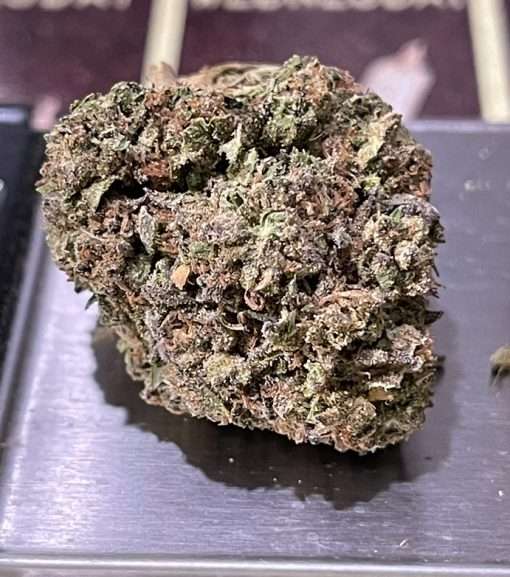 GREAT WHITE SHARK 28g OZ SATIVA ON SALE 25%THC