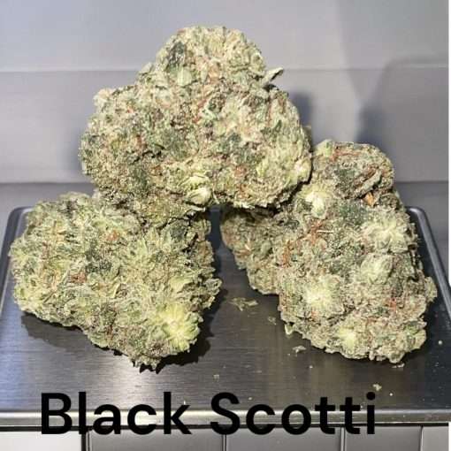 BLACK SCOTTI  3.5g INDOOR EXOTIC 35%THC  GRIZLY PEAK