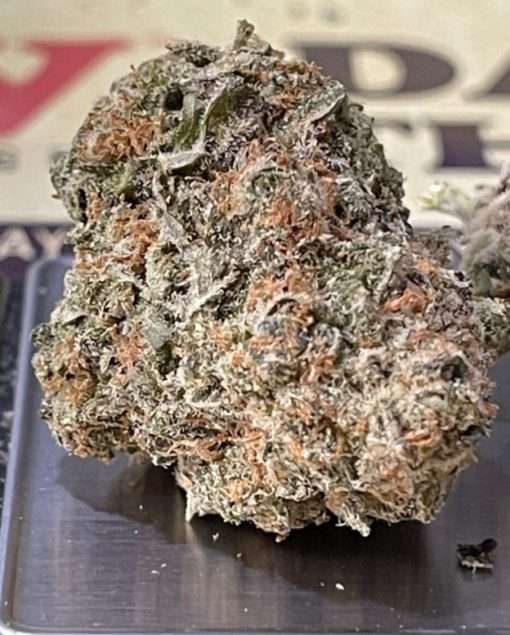 PINNEAPPLE RUNTZ3.5g INDICA INDOOR  26%THC