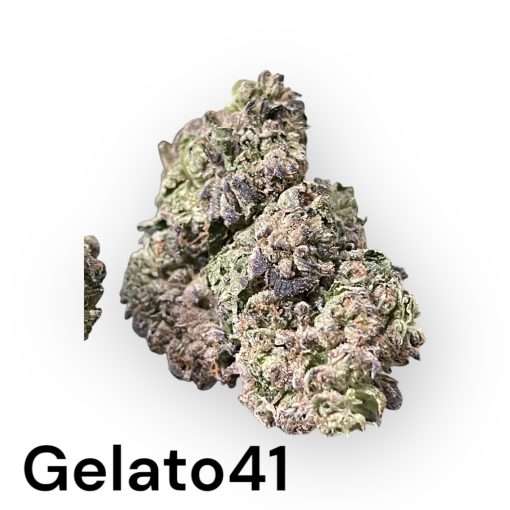 GELATO 41 HYBRID 28grams OZ ON SALE 26%THC