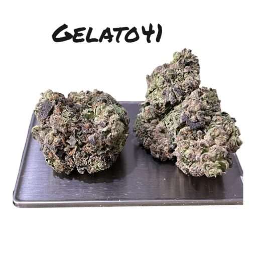 GELATO 41 HYBRID 28grams OZ ON SALE 26%THC