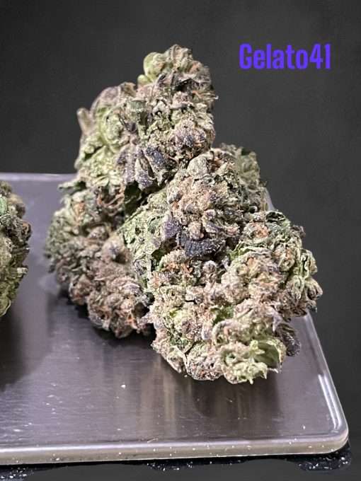 GELATO 41 HYBRID 28grams OZ ON SALE 26%THC