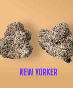 NEW YORKER 3.5g INDICA 32%THC 🔥🔥 INDOOR