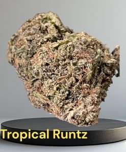 TROPICAL RUNTZ 3.5g HYBRID 31%THC INDOOR BATCH