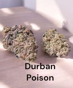 DURBAN POISON28g OZ SATIVA ON SALE 25%THC 🔥🔥🔥$100 SUPER BOWL SPECIAL –