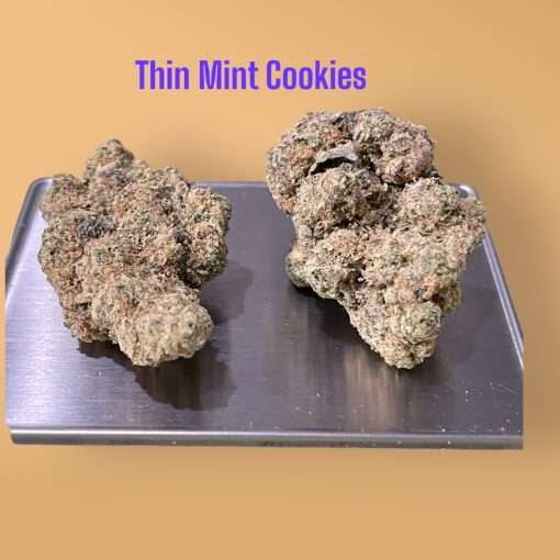 THIN MINT COOKIES 3.5g HYBRID INDOOR 30%THC VSALE 💌💌 CALI