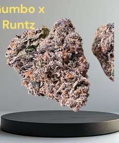 GUMBOx RUNTZ 28grams INDICA 28%THC INDOOR 🔥🔥