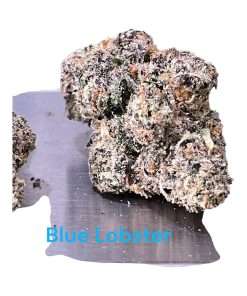 BLUE LOBSTER 3.5g ON SALE HYBRID AWARD WINNING BATCH LIMITED 🔥🔥🔥37%THC