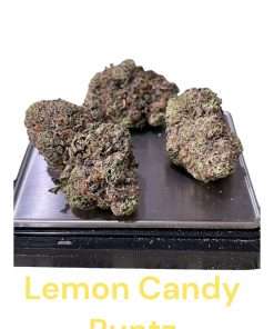 LEMON CANDY RUNTZ 3.5g SATIVA DOM HYBRID 31%THC 🔥🔥🔥