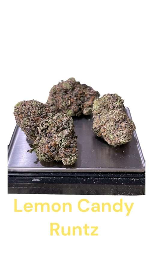 LEMON CANDY RUNTZ 3.5g SATIVA DOM HYBRID 31%THC 🔥🔥🔥